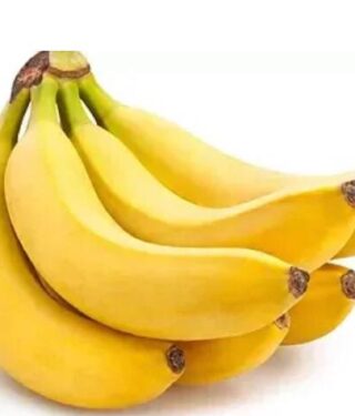 Imagen de WhatsApp 2024-07-06 a las 11.55.47_efaaecd9